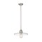Z-Lite Paloma Pendant, 1-Light, 14 In.W x 6.25 In.H, Brushed Nickel/Clear 821P14-BN - alternate 2